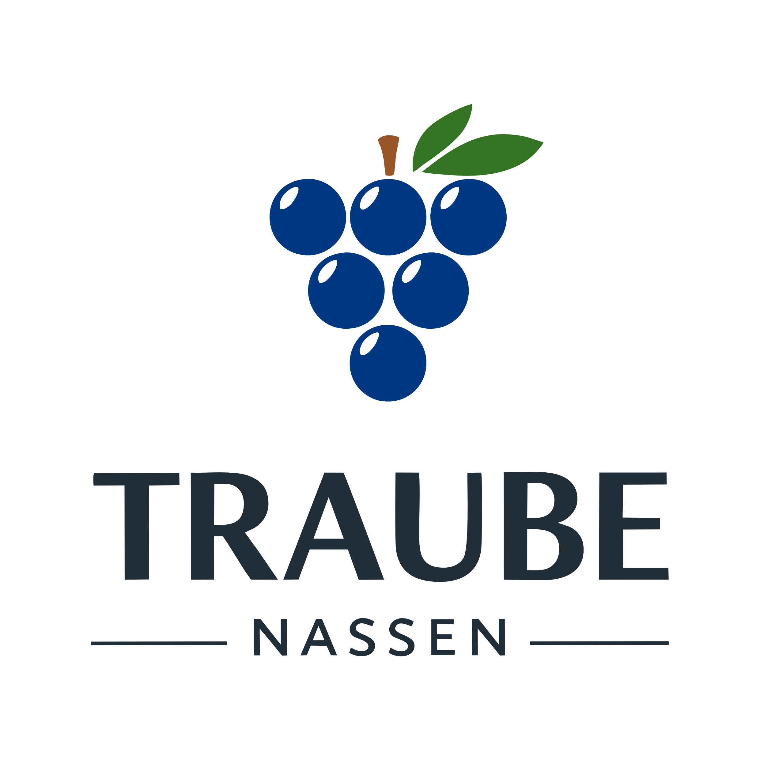 Traube Nassen